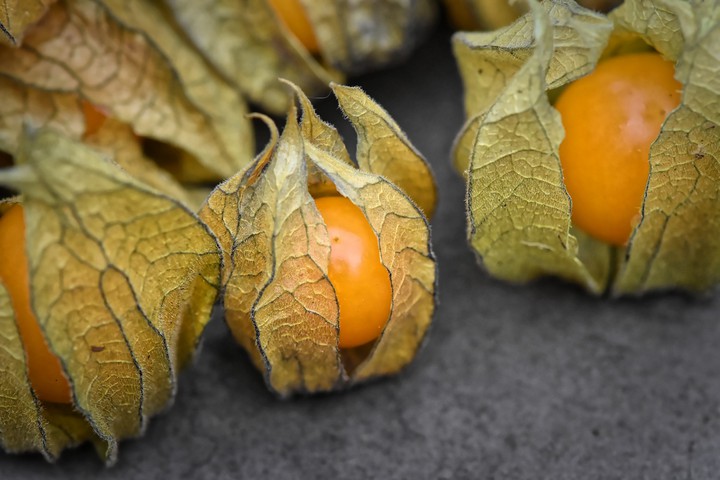 fruit