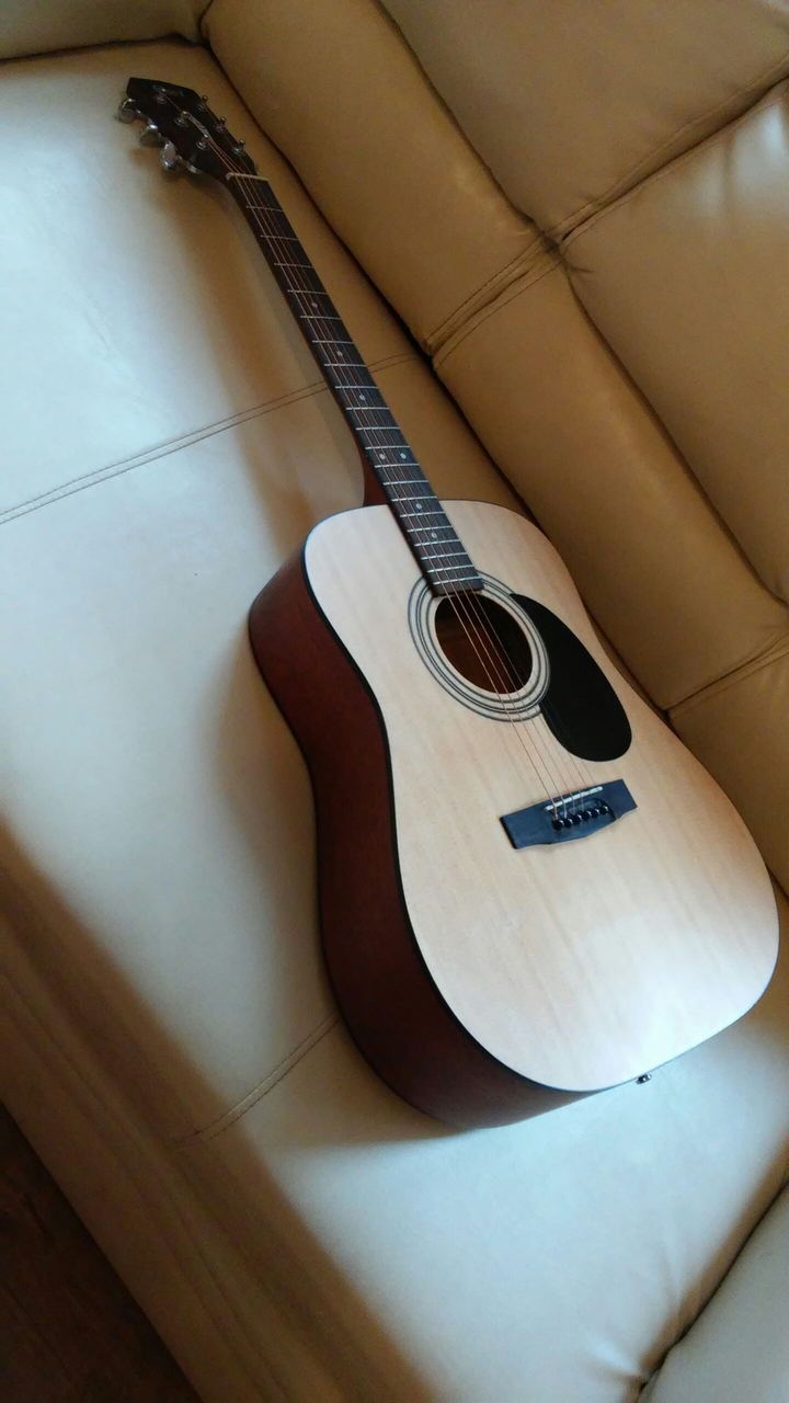 Acoustic Guitar