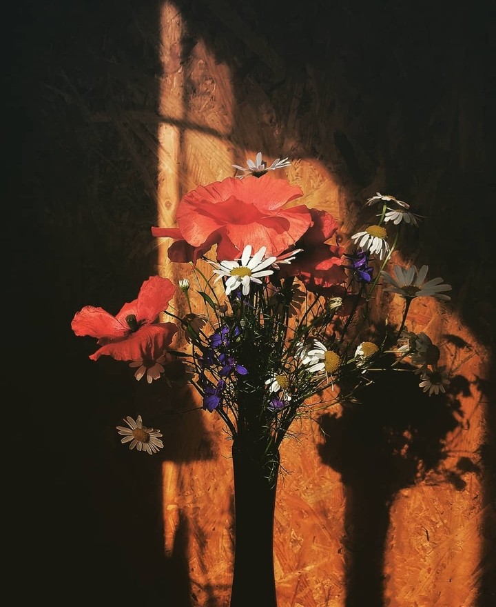Flovers