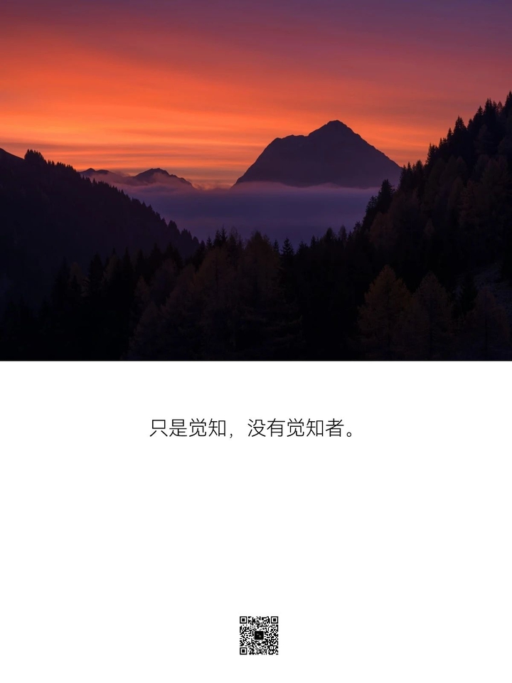 不行动