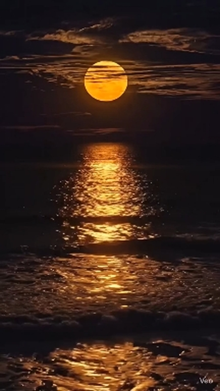 NIGHT