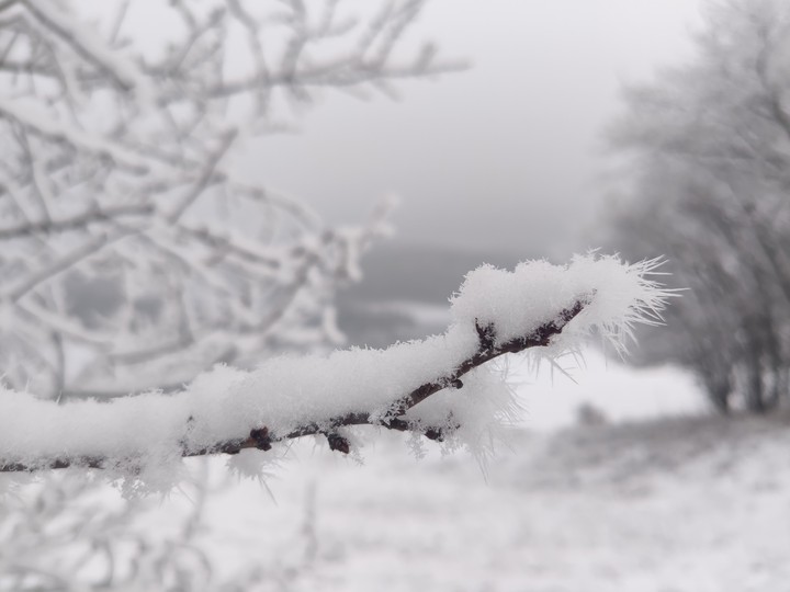 snow time 2