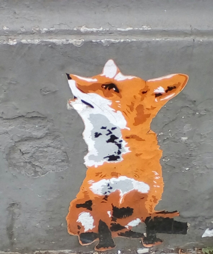 little fox, wall art3
