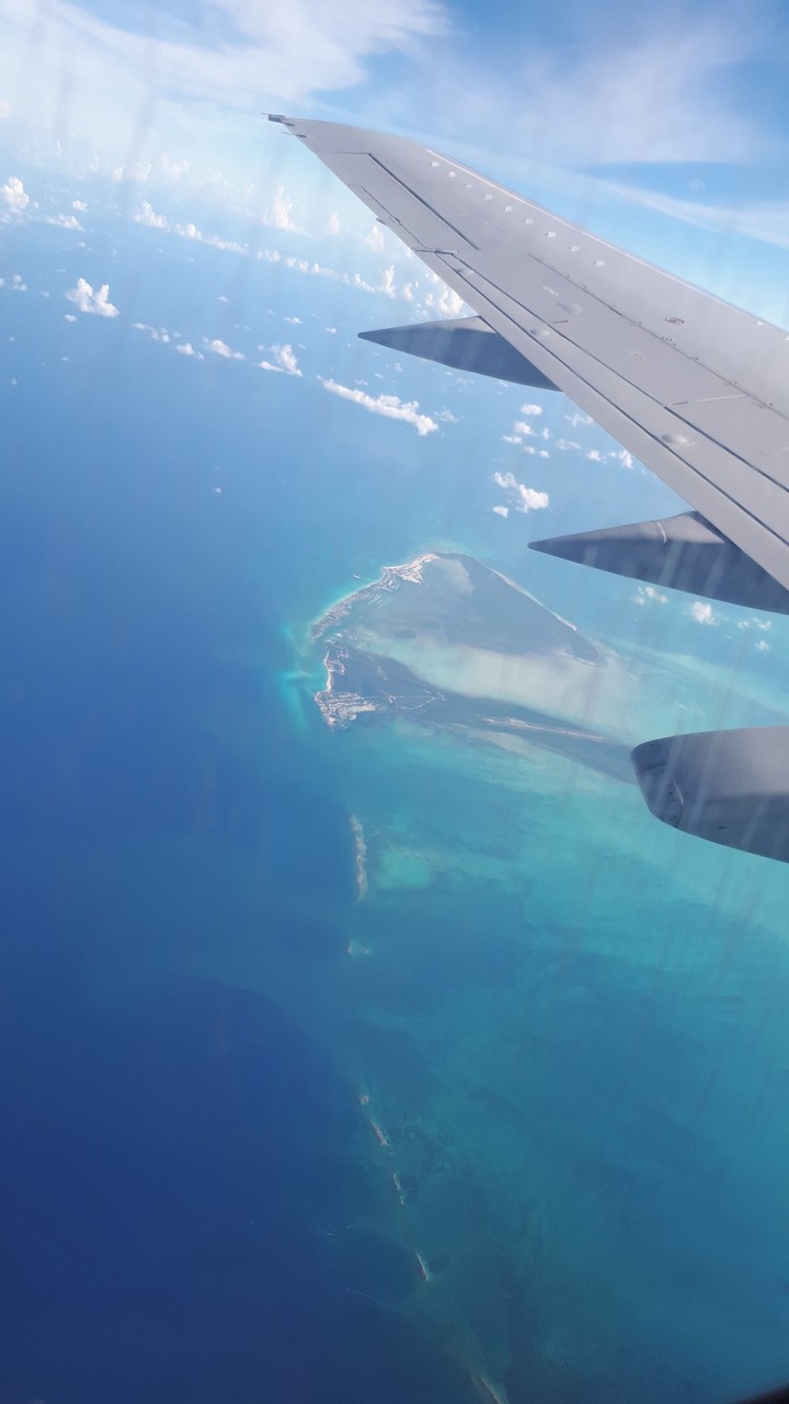 Flying away...