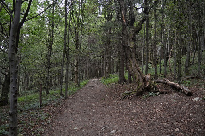 just look on that nature