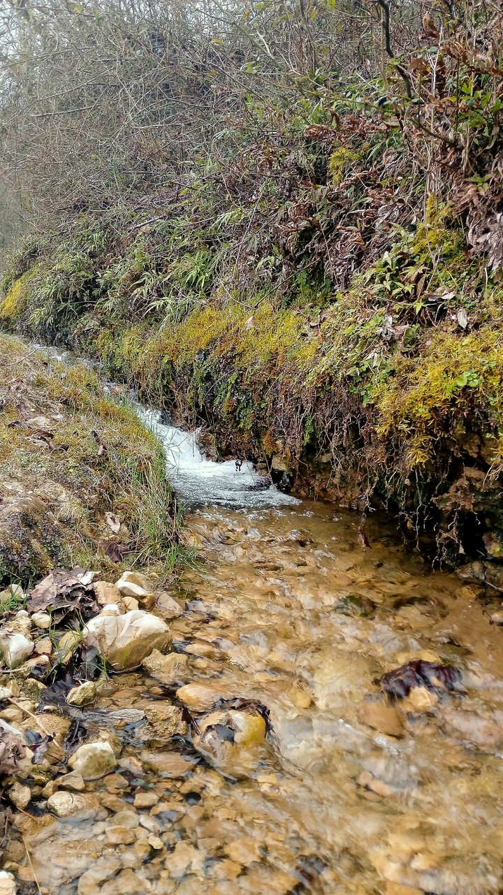 Nature in north of Iran