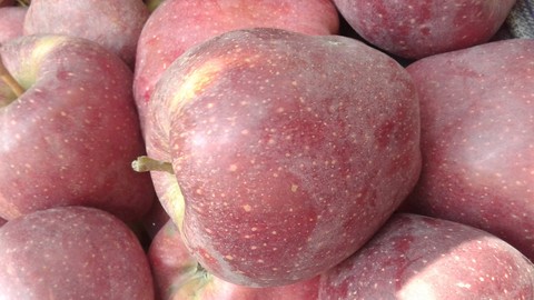 Apple