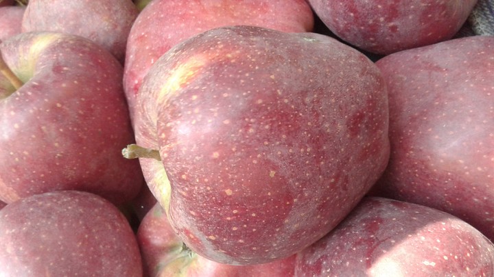 Apple