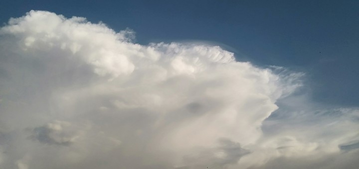 White sky
