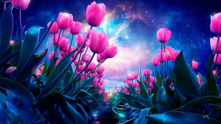 tulip