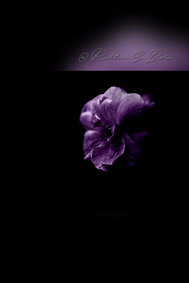 Violet