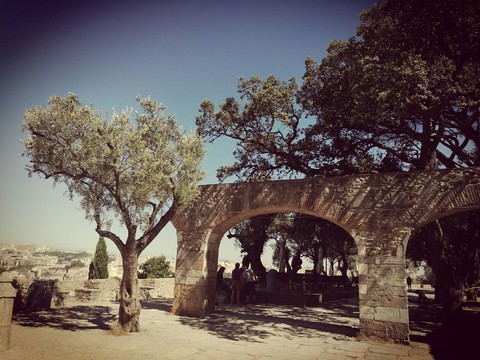 ruine