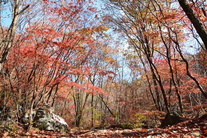 산이미지