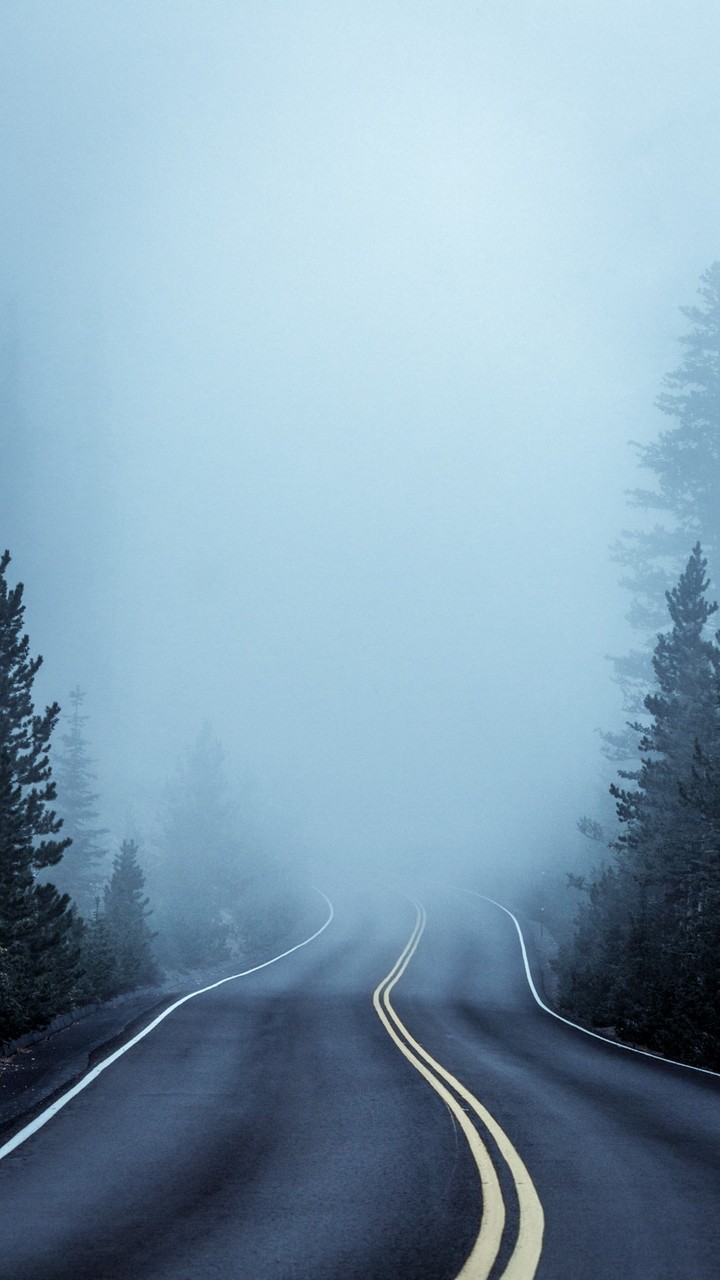 winter