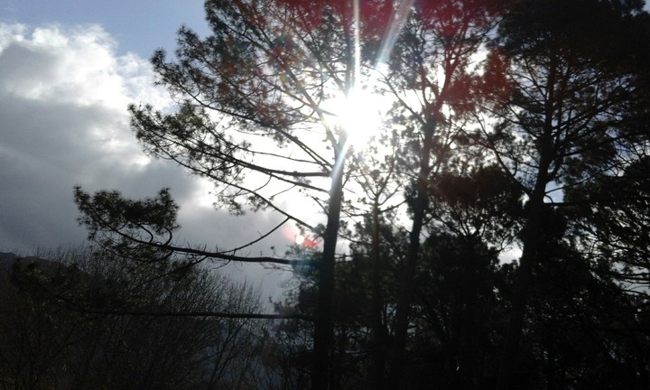 Rays of Sun