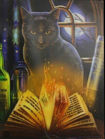 ~ Cat ~