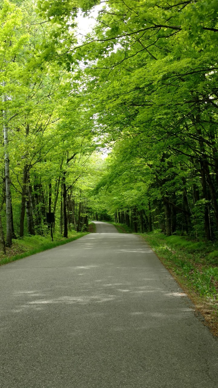country road