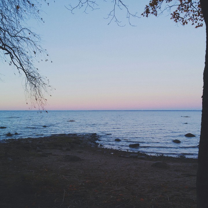Evening on the Bay