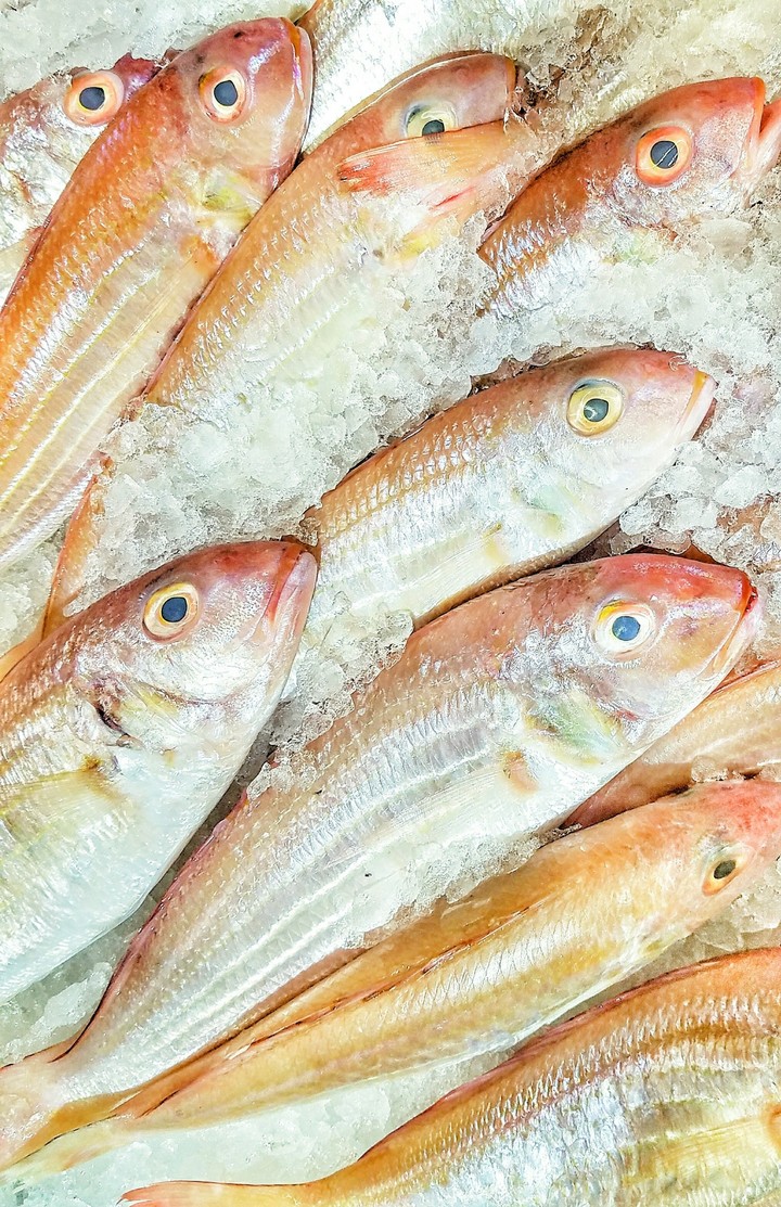 fish and fish
