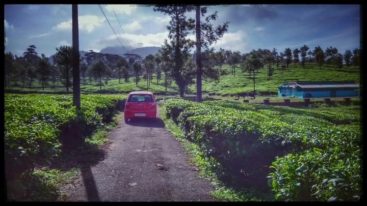 beauty of nature  kerala greenary