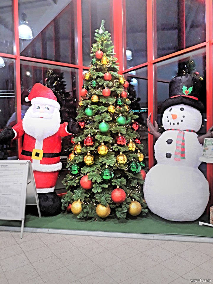 o Tannenbaum