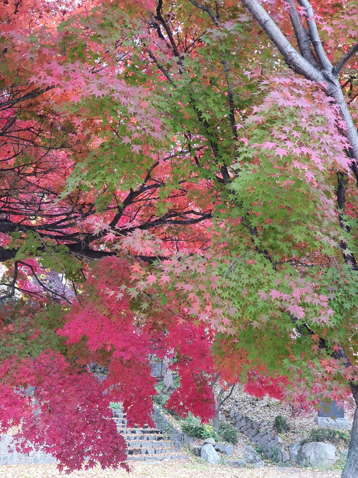 Fall