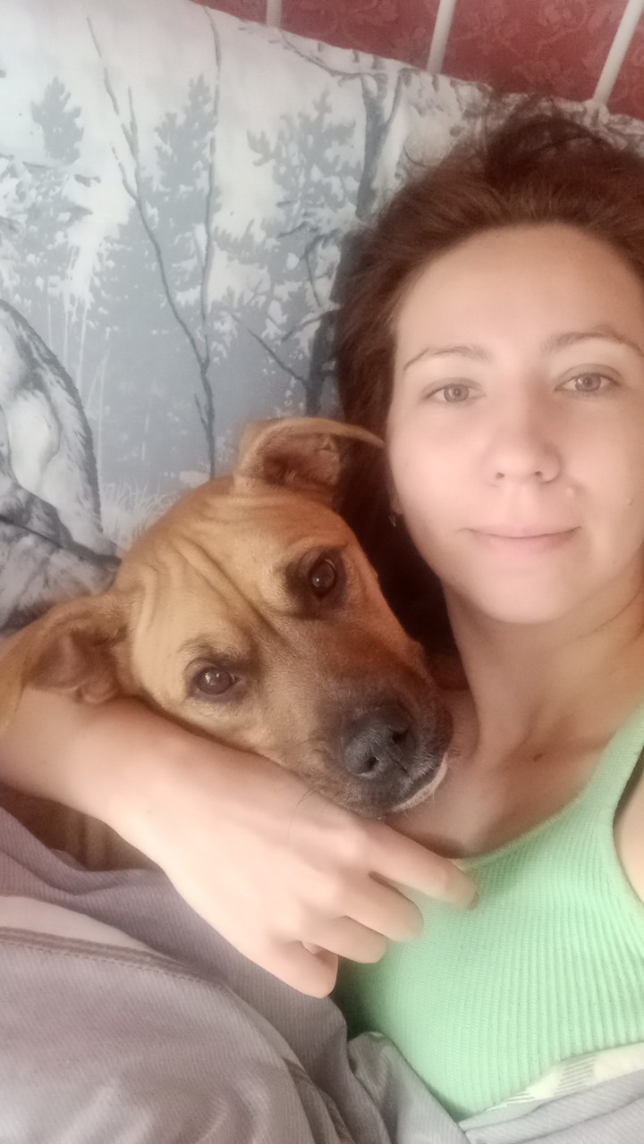 dog ?