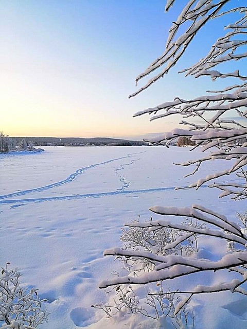 winter
