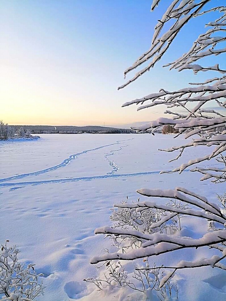 winter