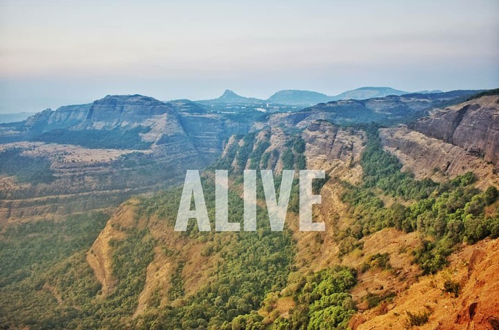 alive