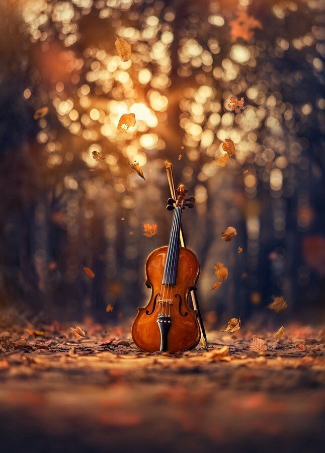 Autumn