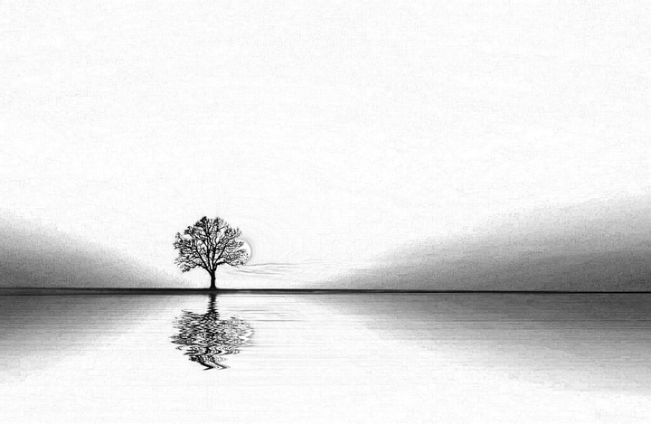tree