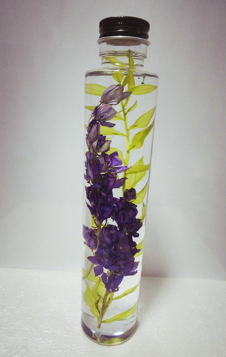 herbarium