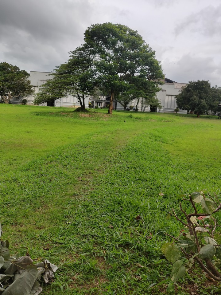 Beautiful path