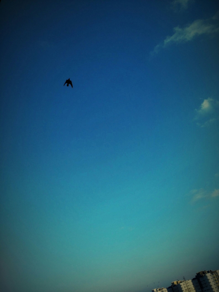 sky