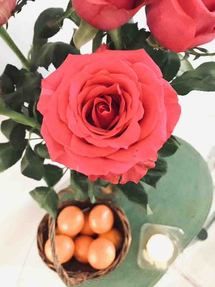 Roses ?