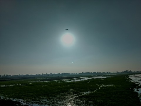Soar above the sun