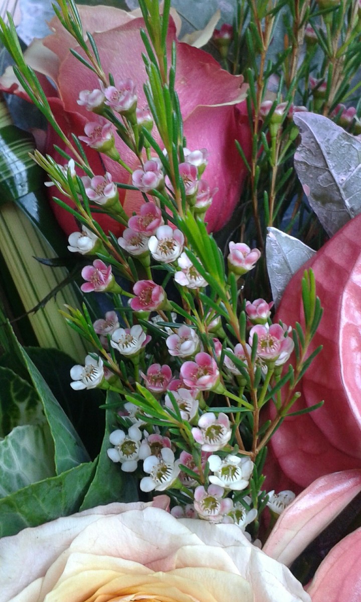 Bouquet
