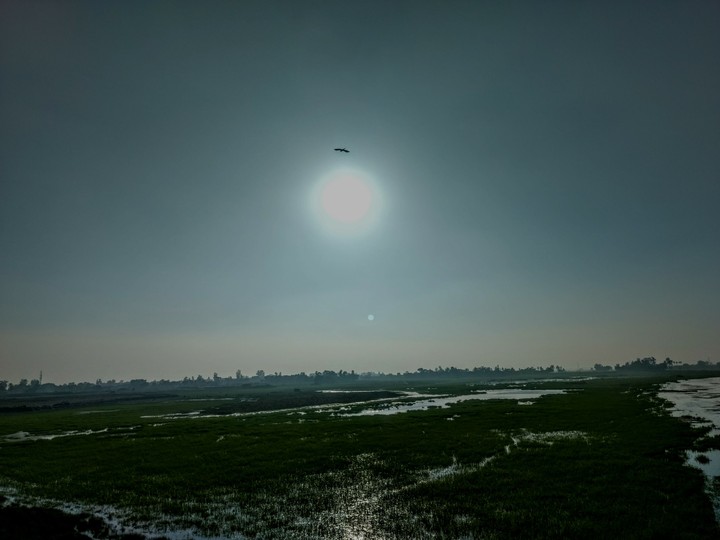 Soar above the sun