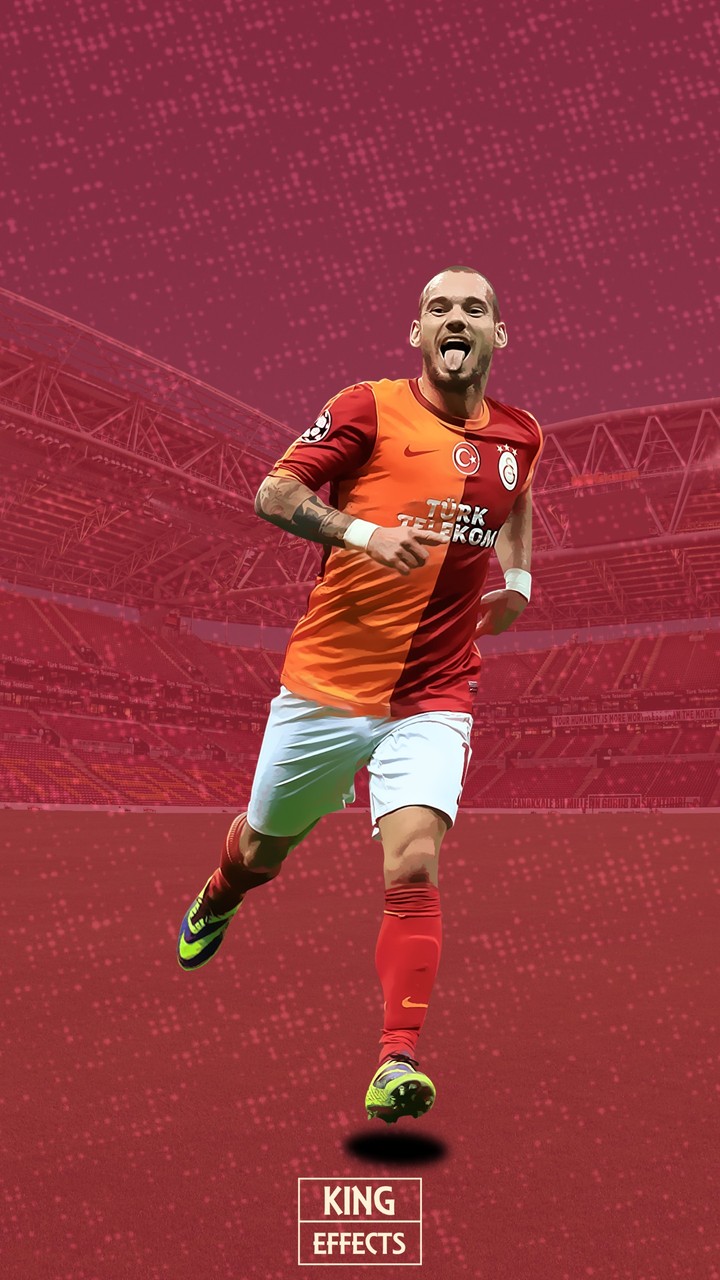 Wesley Sneijder 10