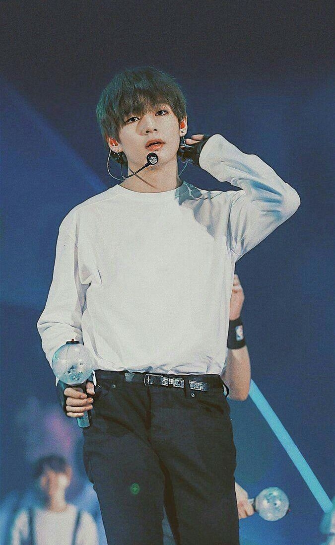 태형