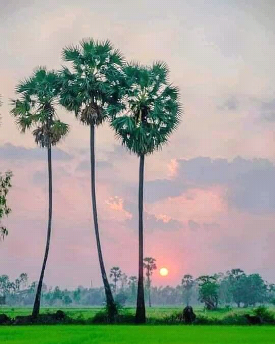Village