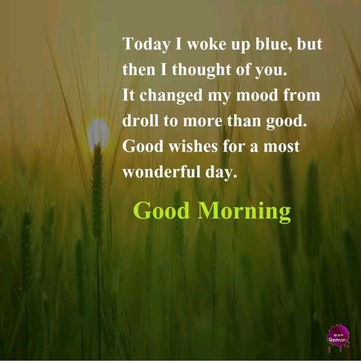 good morning