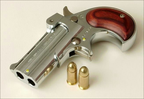 Pistol