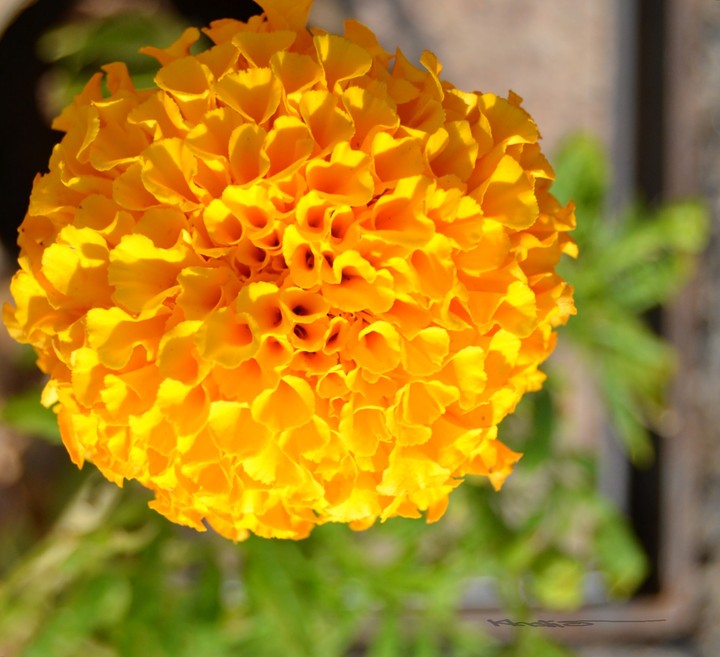 Bright morning