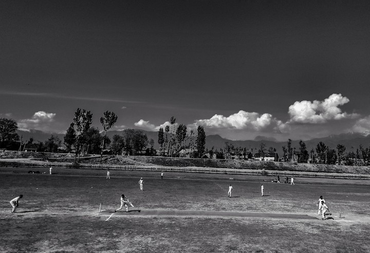Cricket