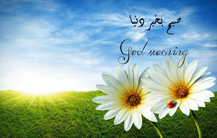 Good morning
