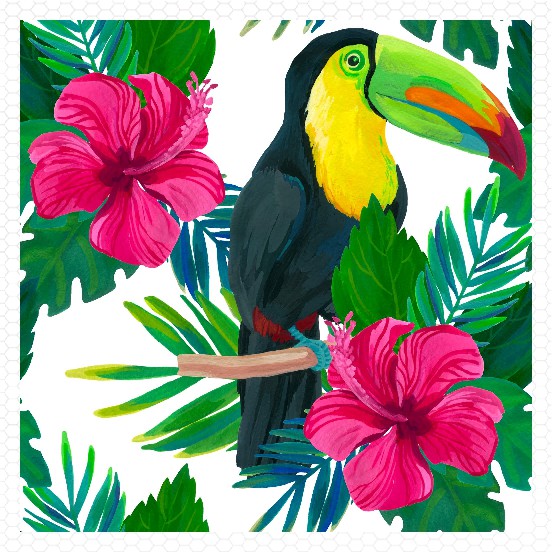 bright jungle