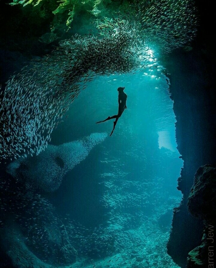 i worship the ocean 
