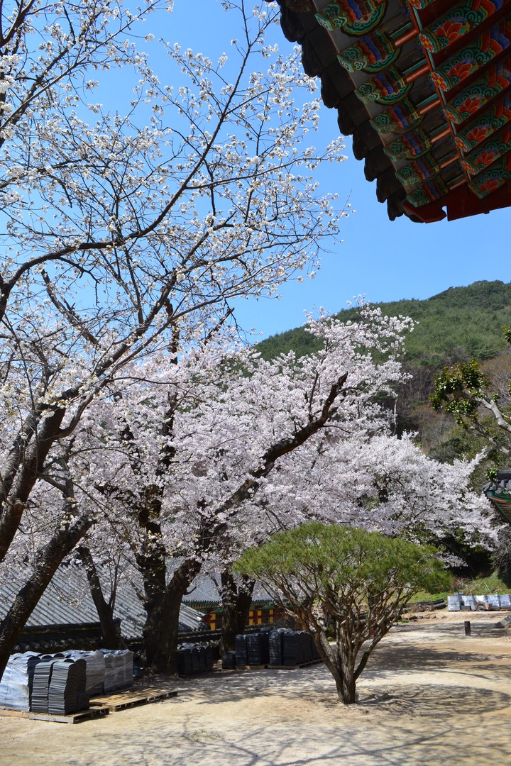 지리산이미지